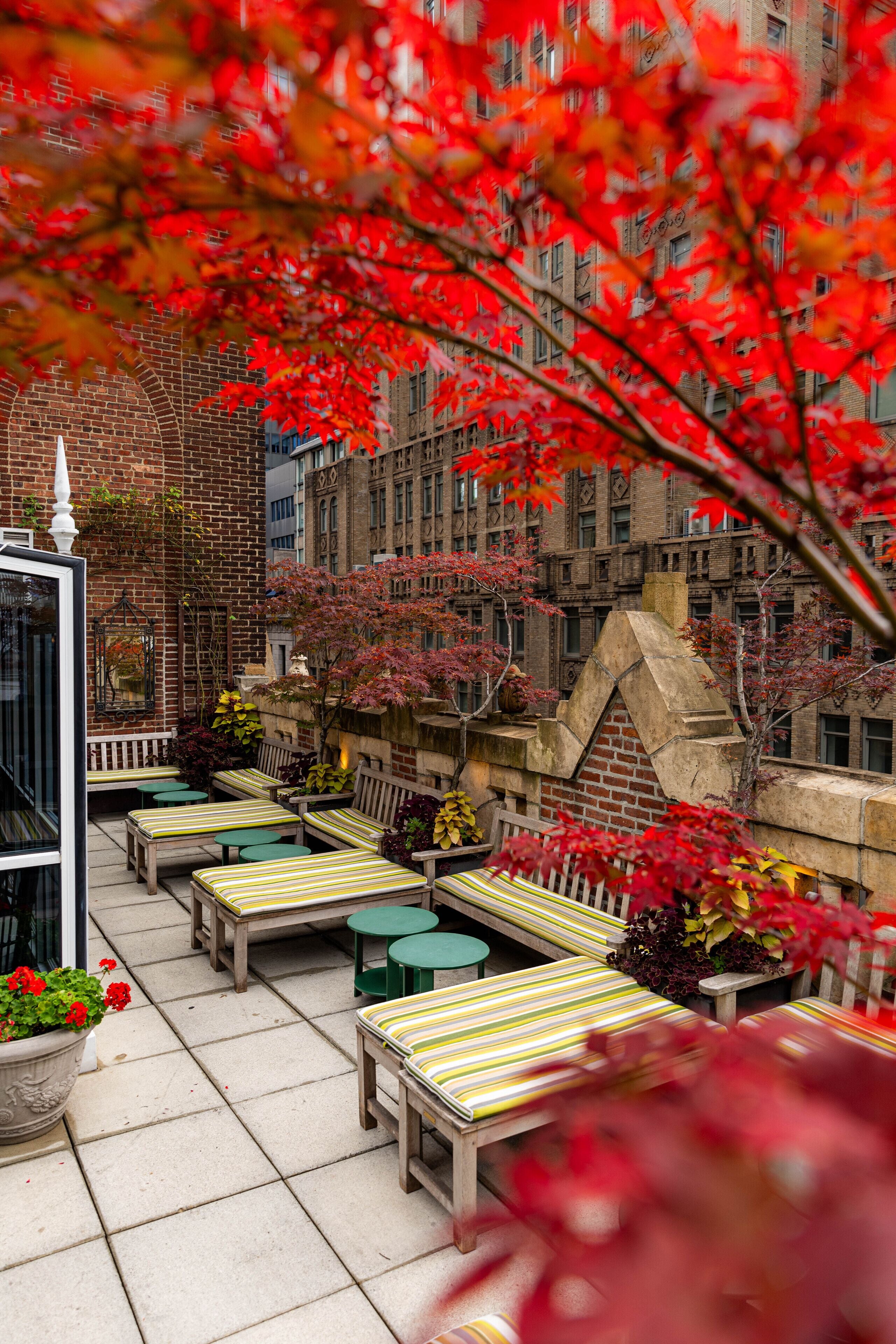 Library Hotel by Library Hotel Collection ⭐️⭐️⭐️⭐️