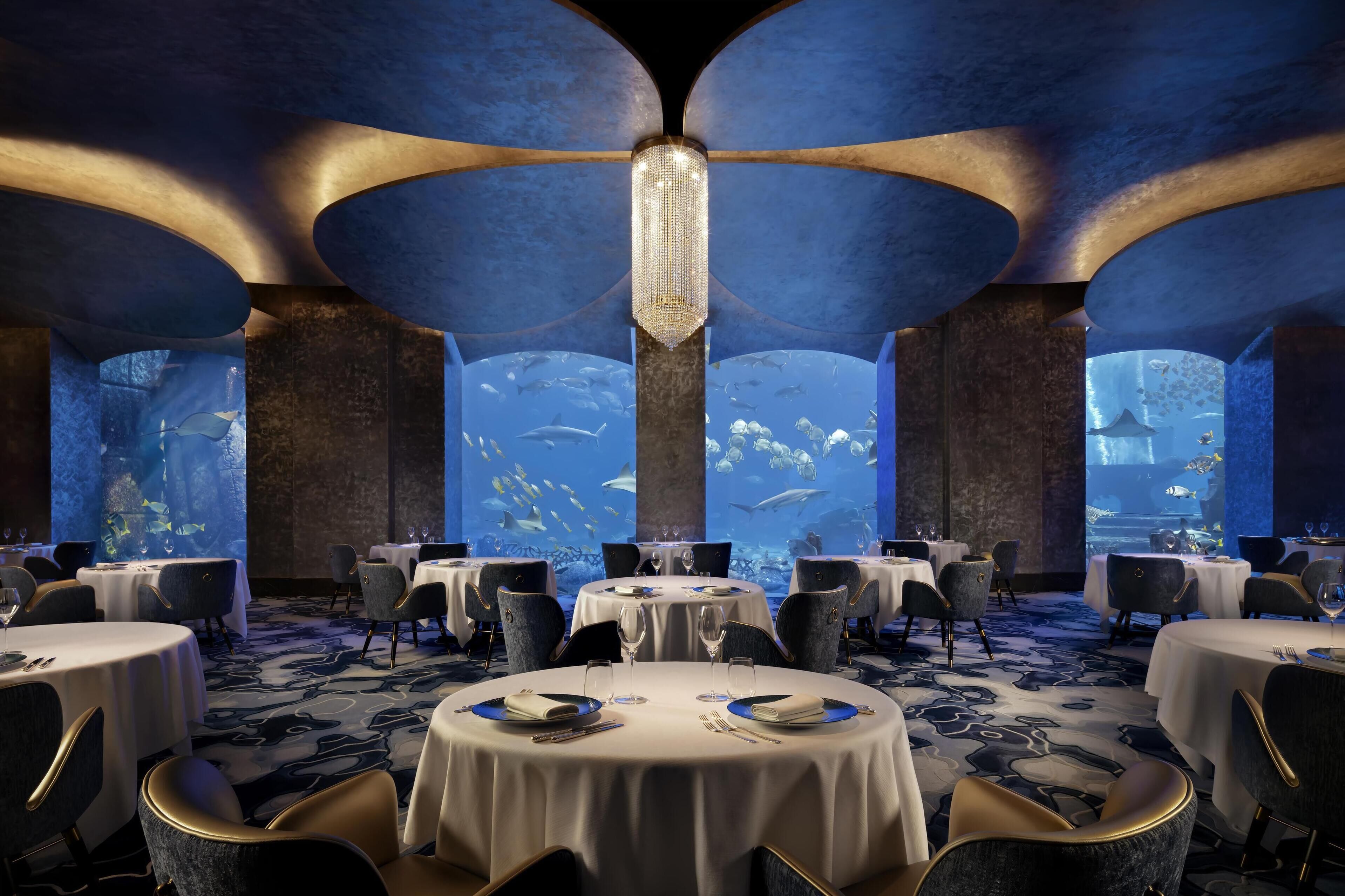 Atlantis, The Palm ⭐️⭐️⭐️⭐️⭐️
